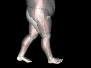 Weight Gain May Result in Larger Feet